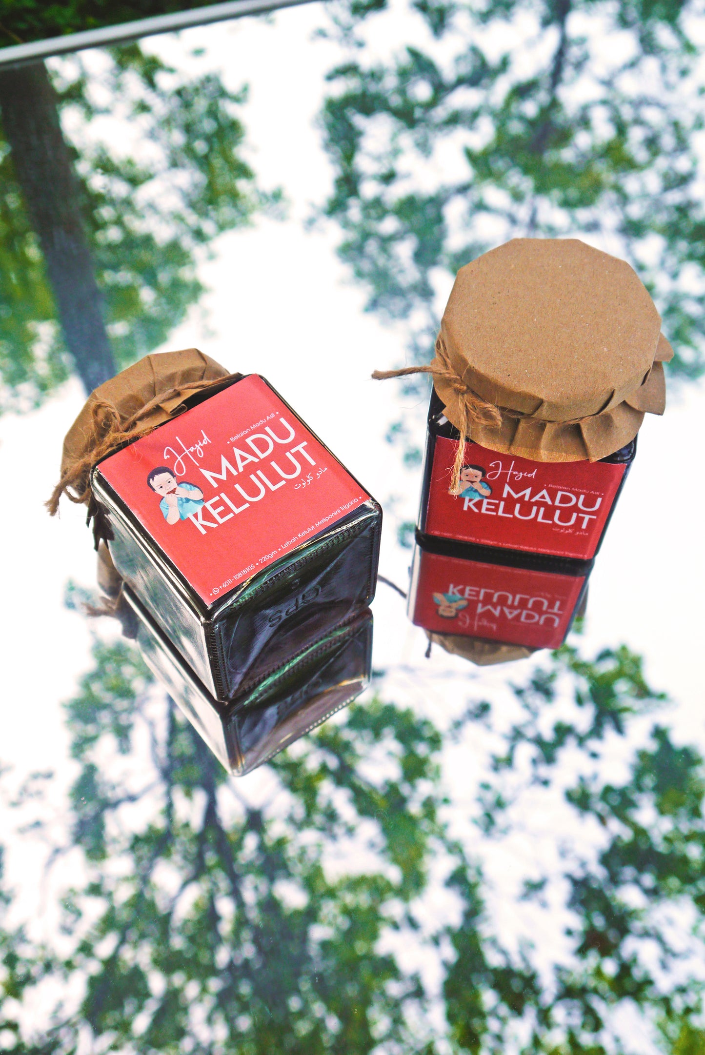Madu Kelulut