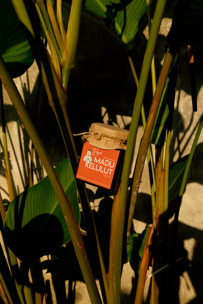 Madu Kelulut